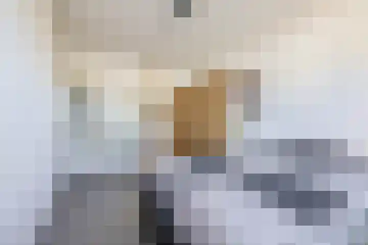 Deflectiespoelstraat 64 Eindhoven thumbnail 26