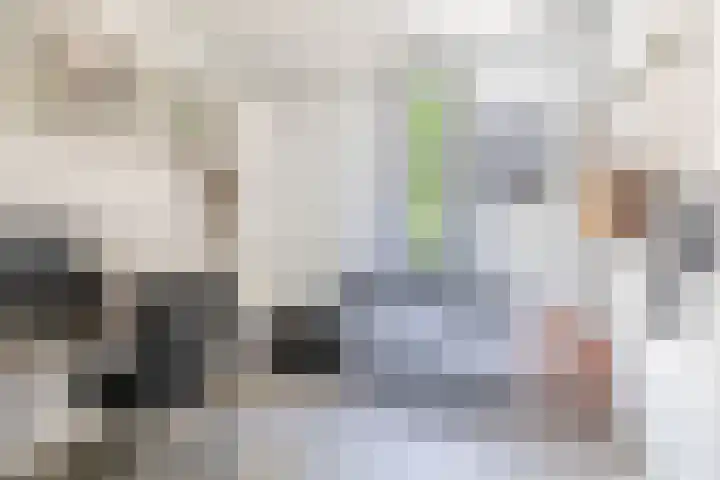 Deflectiespoelstraat 64 Eindhoven thumbnail 27
