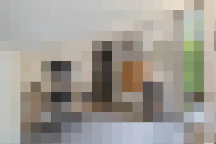 Deflectiespoelstraat 64 Eindhoven thumbnail 37