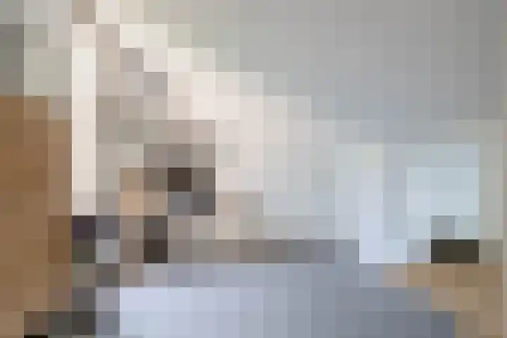 Deflectiespoelstraat 64 Eindhoven thumbnail 38