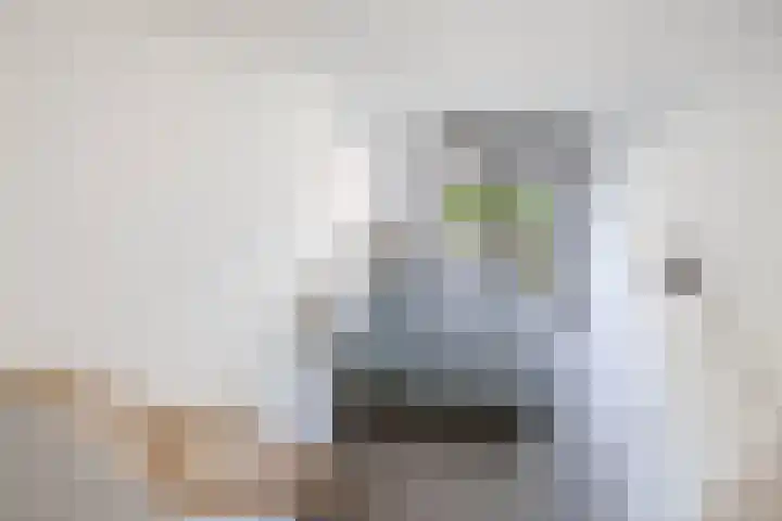Deflectiespoelstraat 64 Eindhoven thumbnail 39