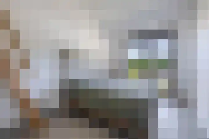 Deflectiespoelstraat 64 Eindhoven thumbnail 4