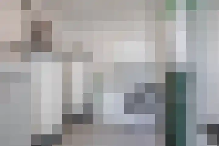 Deflectiespoelstraat 64 Eindhoven thumbnail 41