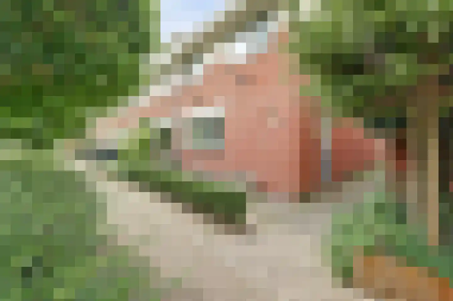 Degenburg 19 Nieuwegein thumbnail 6