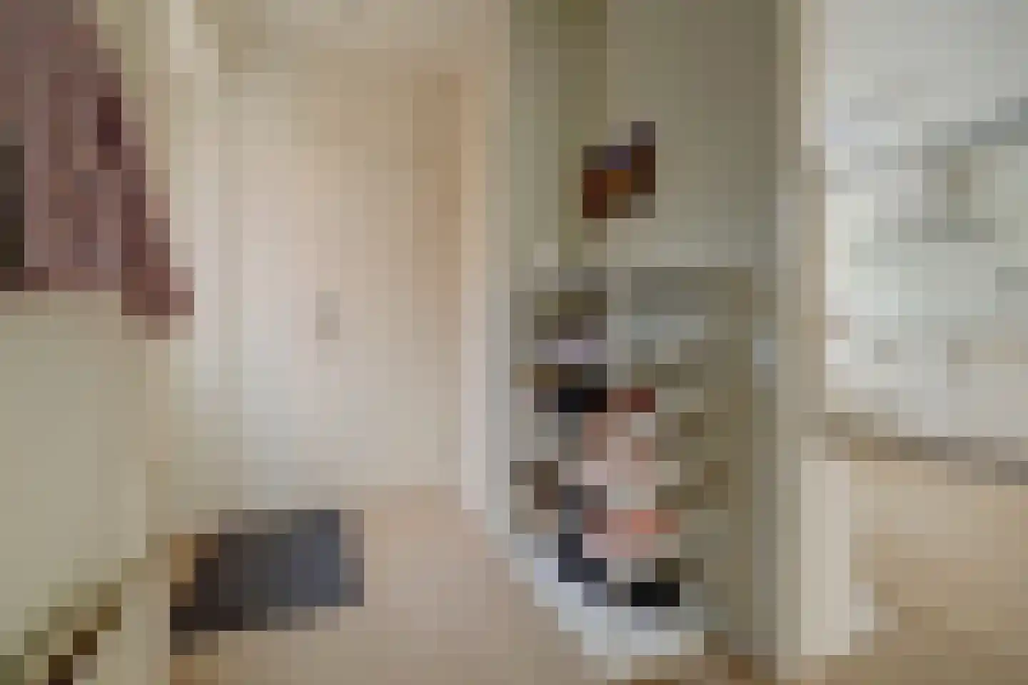 Degenburg 19 Nieuwegein thumbnail 9