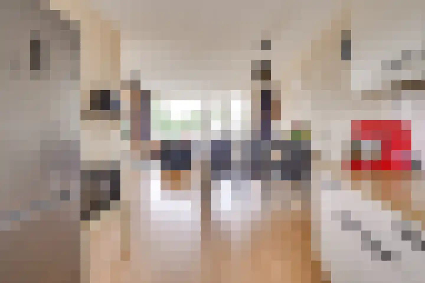 Degenburg 24 Nieuwegein thumbnail 18