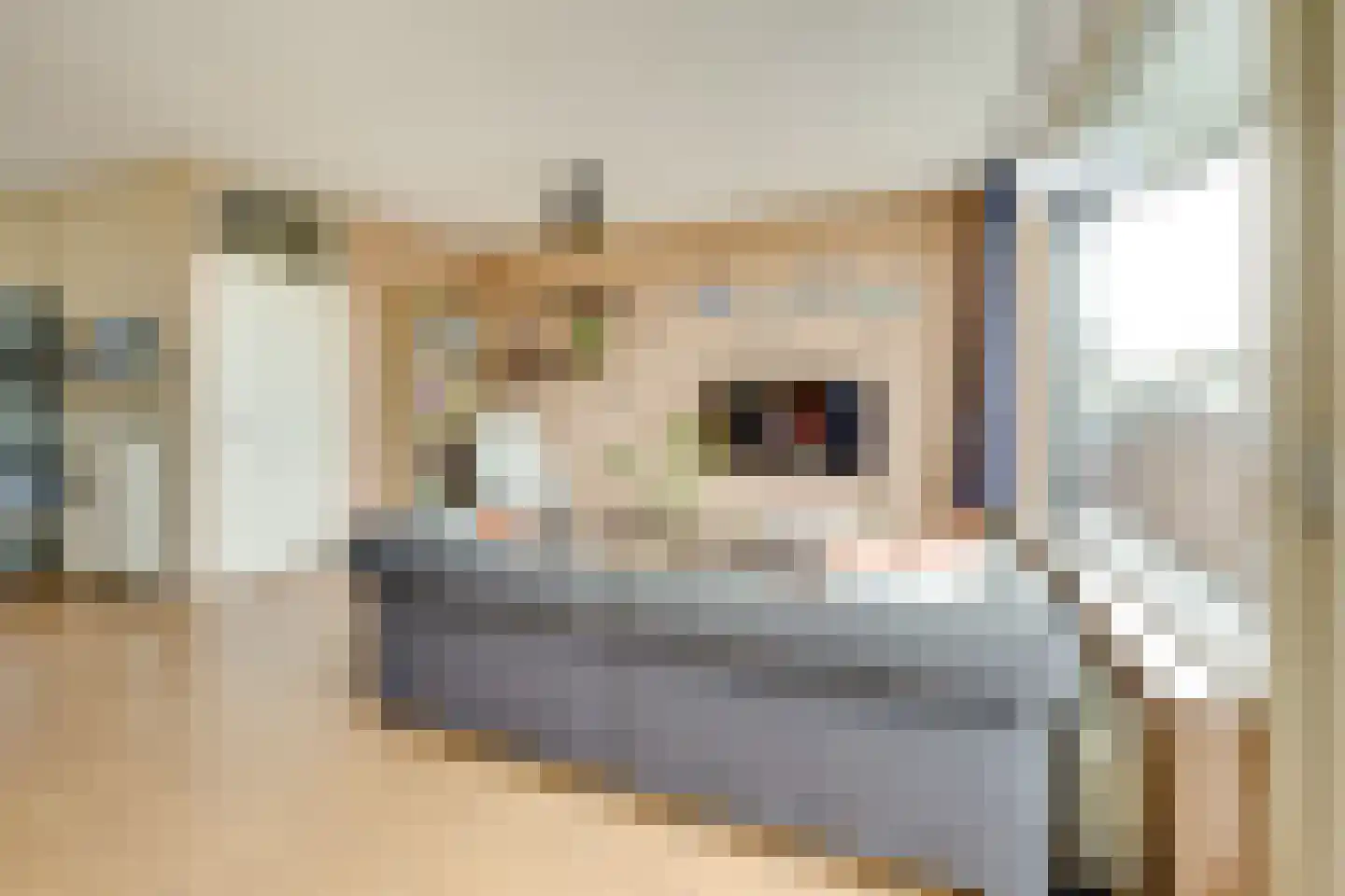 Degenburg 24 Nieuwegein thumbnail 5