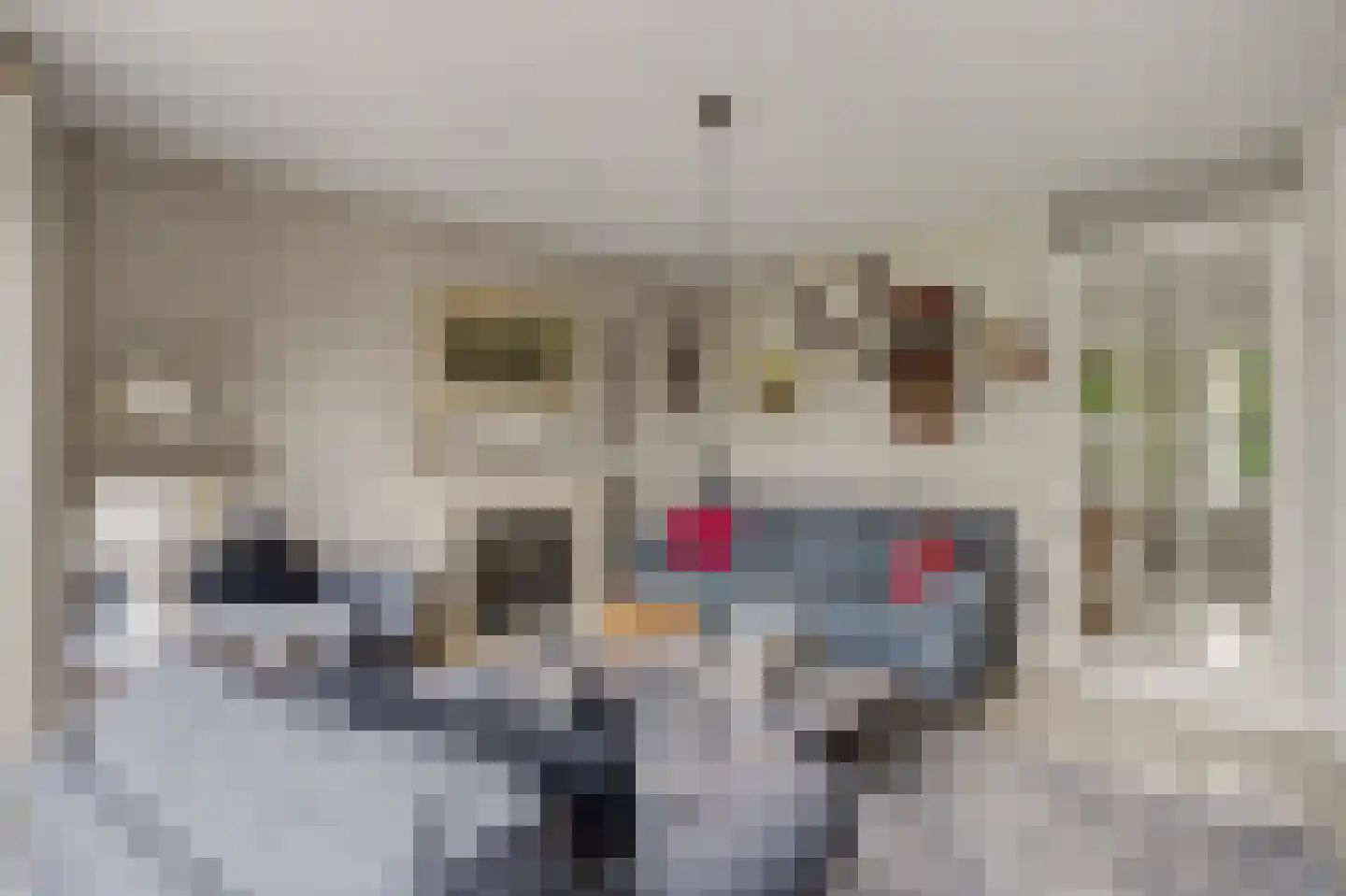 Degerfors 46 Schiedam thumbnail 10
