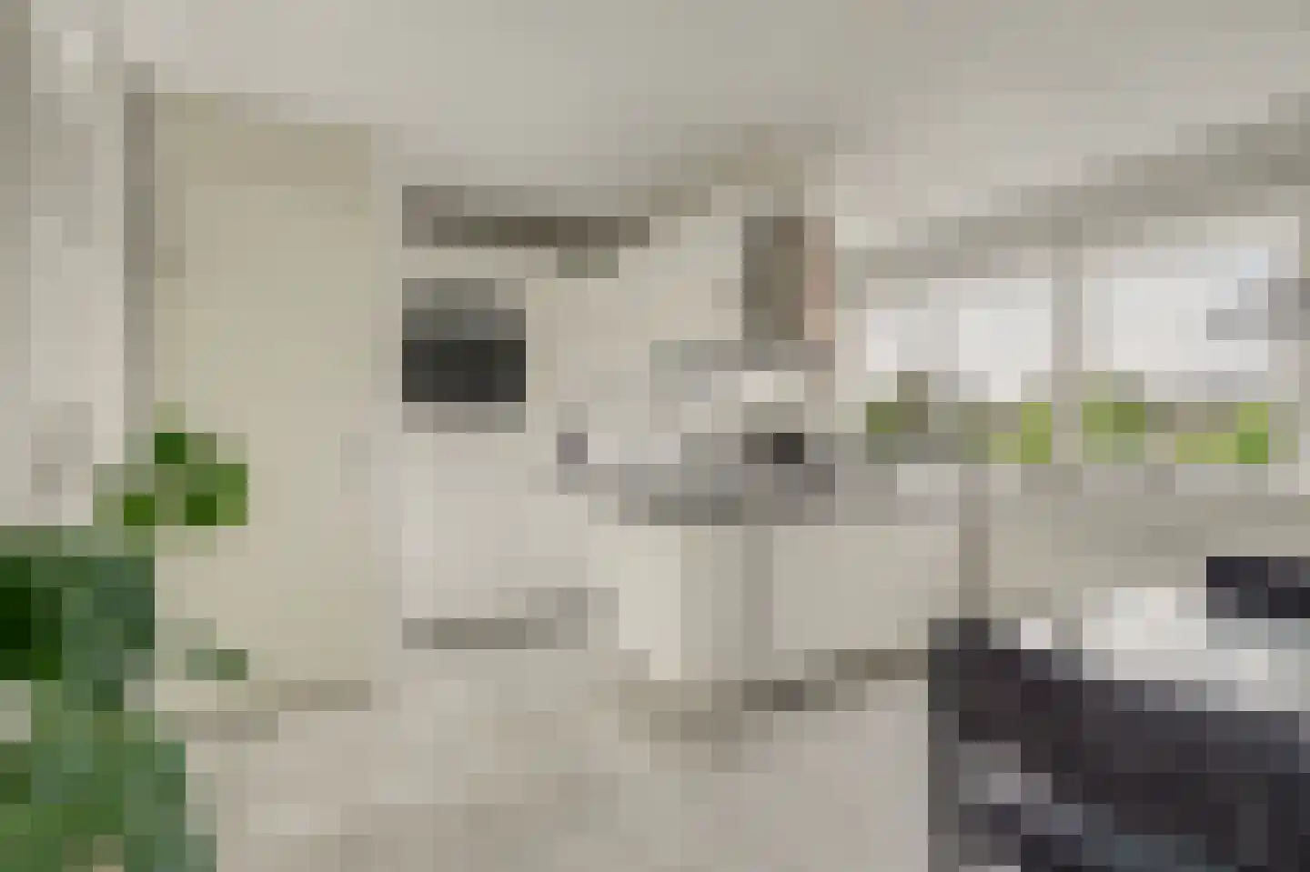 Degerfors 46 Schiedam thumbnail 18
