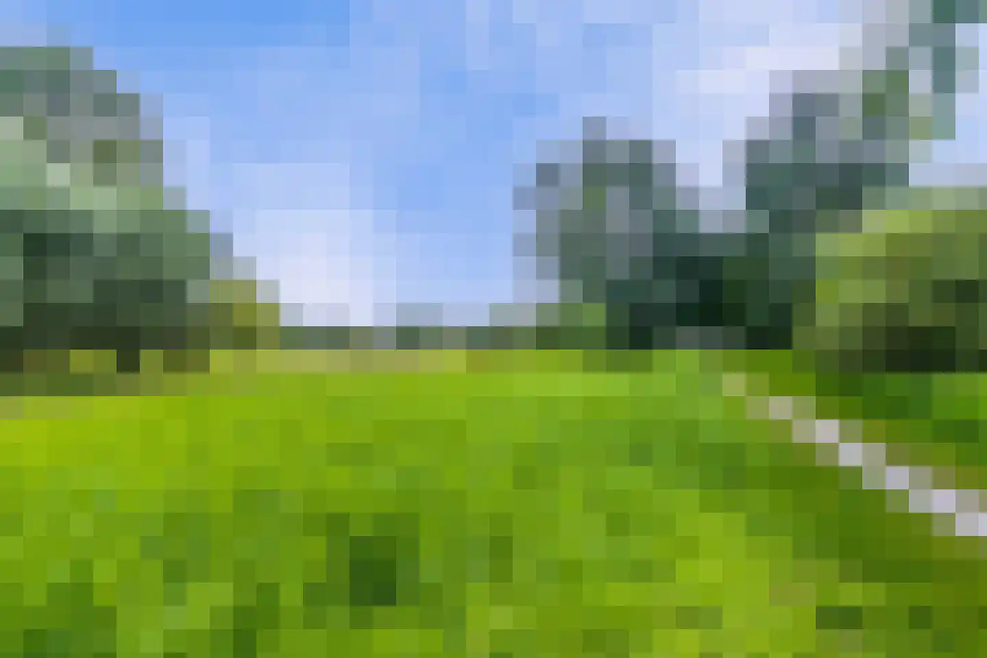 Degerfors 46 Schiedam thumbnail 38
