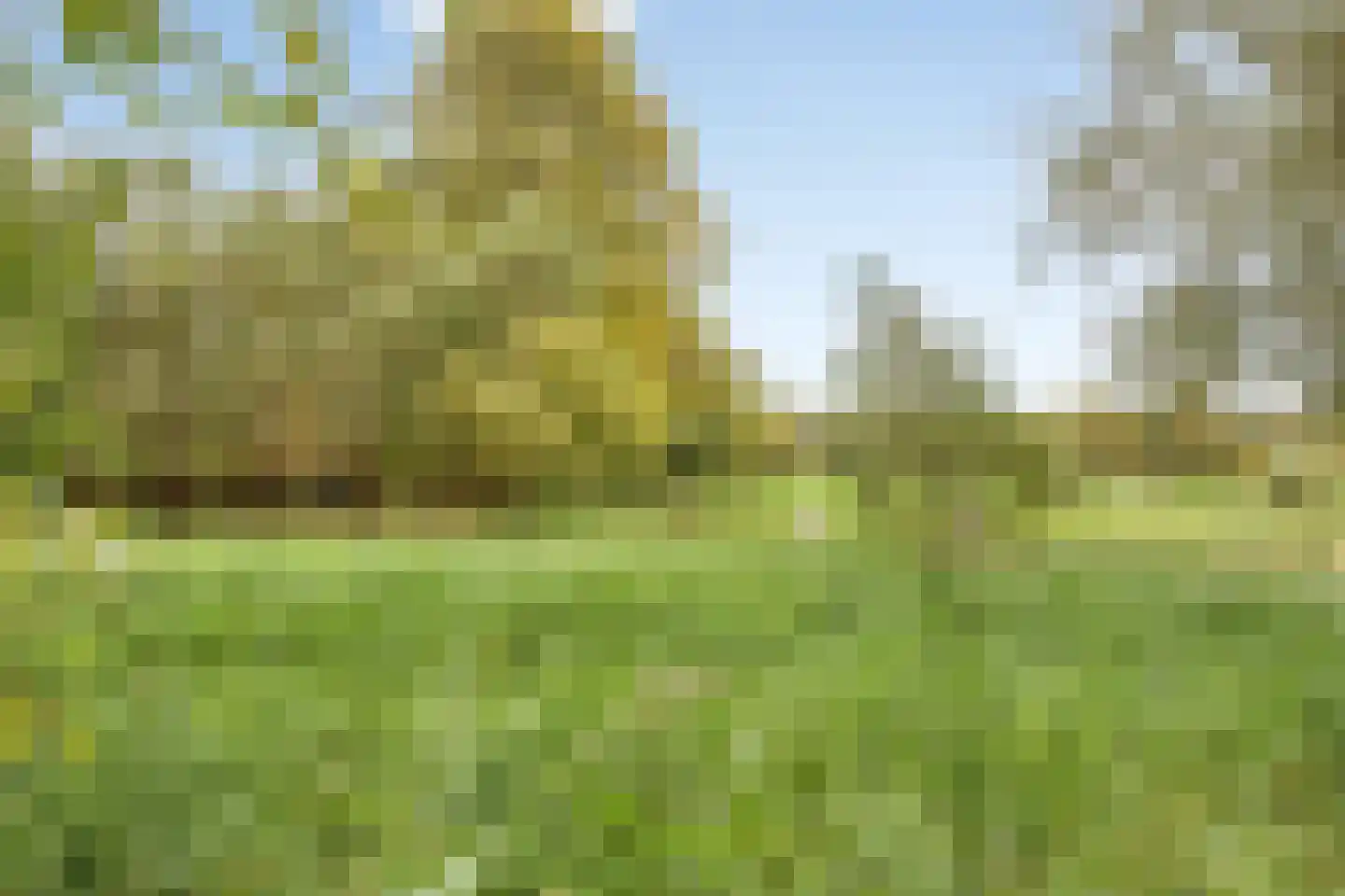 Degerfors 46 Schiedam thumbnail 42