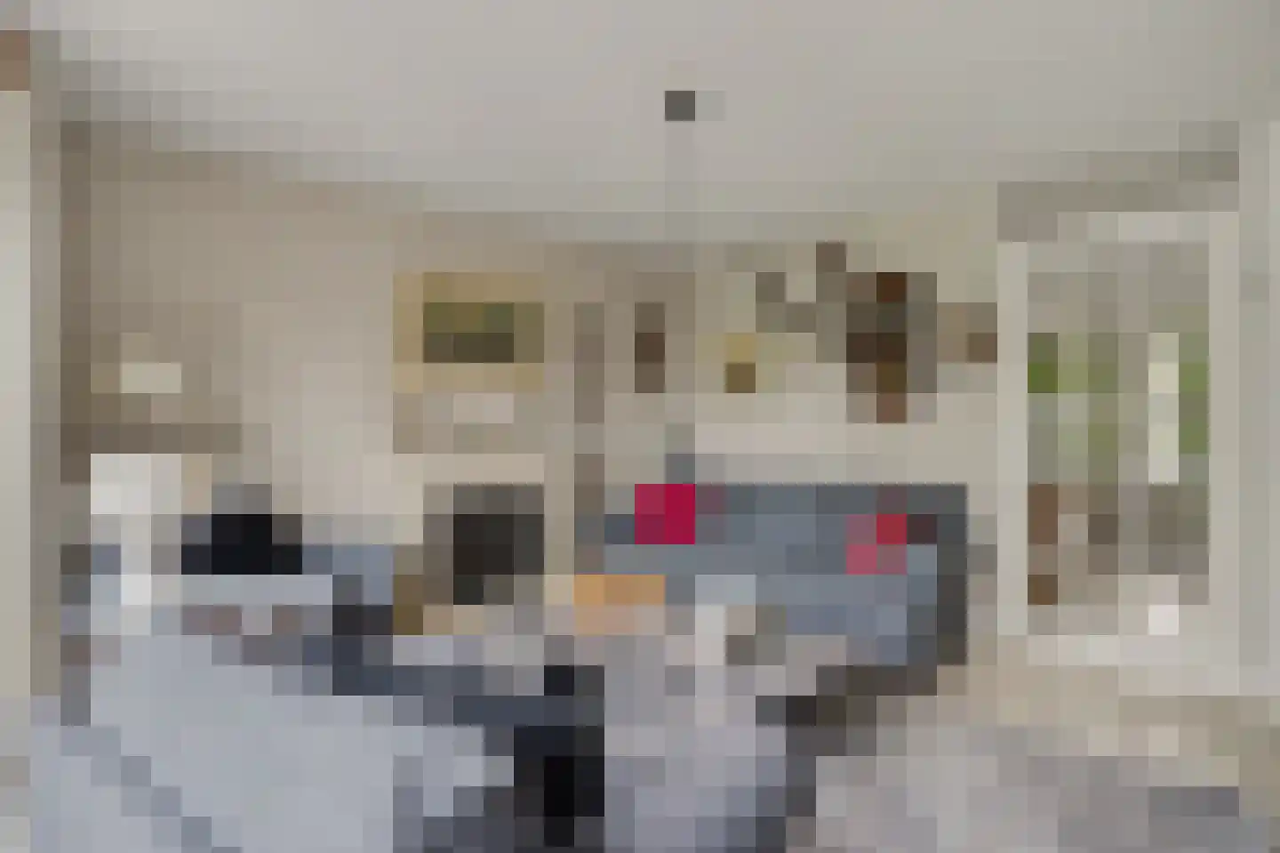 Degerfors 46 Schiedam thumbnail 8