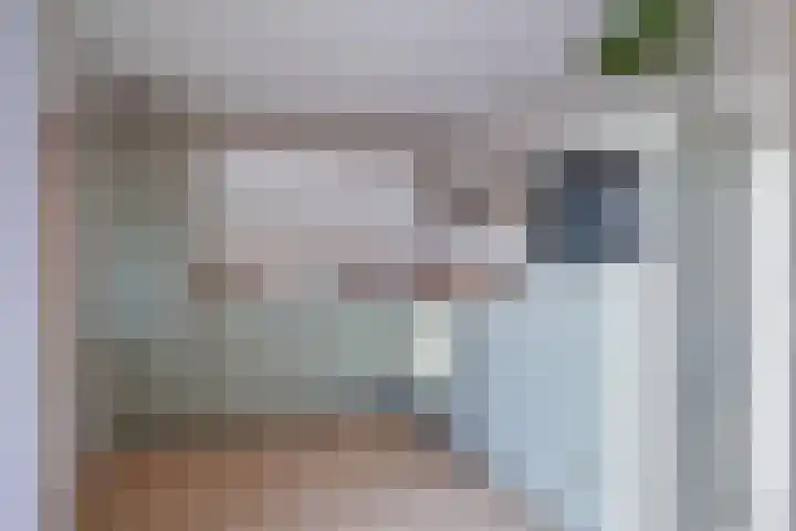 Deiffelen 17 's-Hertogenbosch thumbnail 15