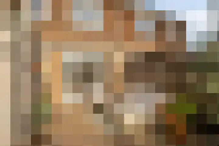 Deiffelen 17 's-Hertogenbosch thumbnail 36