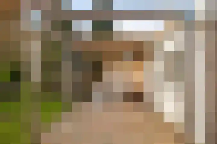 Deiffelen 17 's-Hertogenbosch thumbnail 40