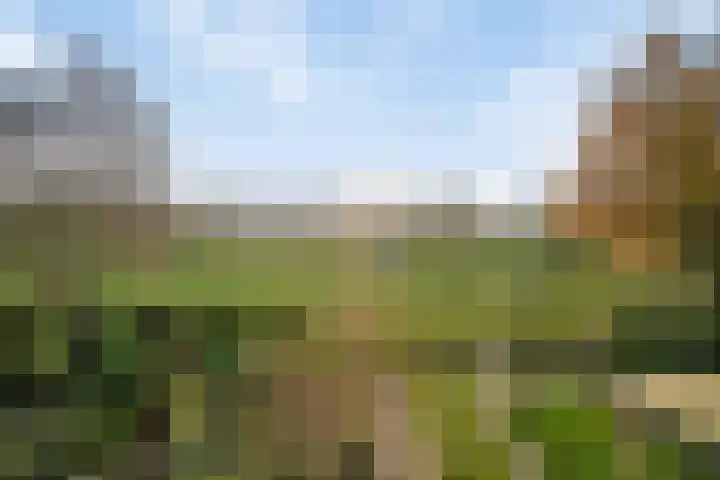 Deiffelen 17 's-Hertogenbosch thumbnail 43