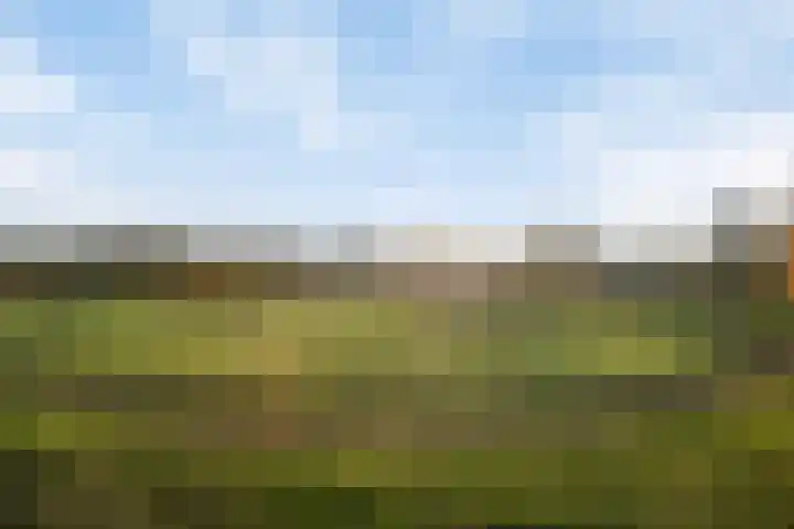 Deiffelen 17 's-Hertogenbosch thumbnail 44