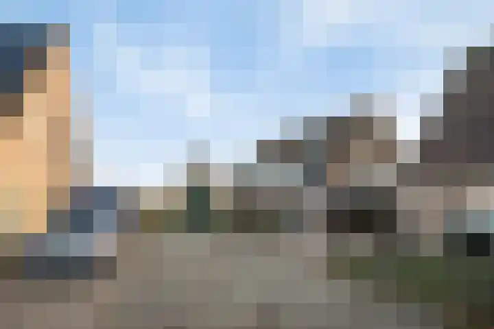 Deiffelen 17 's-Hertogenbosch thumbnail 45