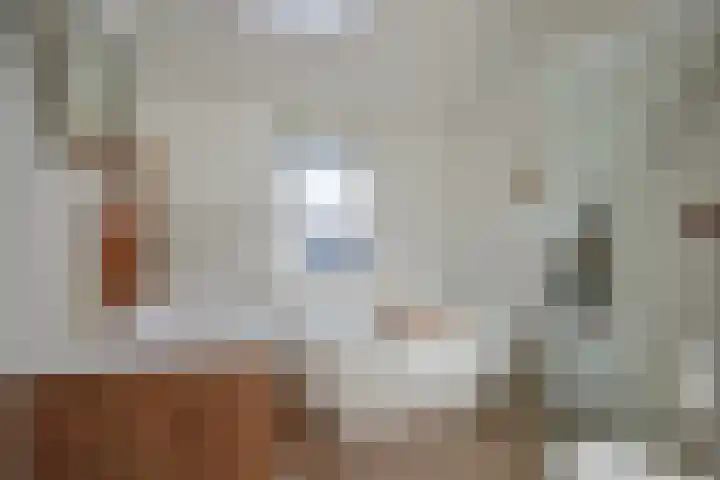 Deiffelen 17 's-Hertogenbosch thumbnail 5