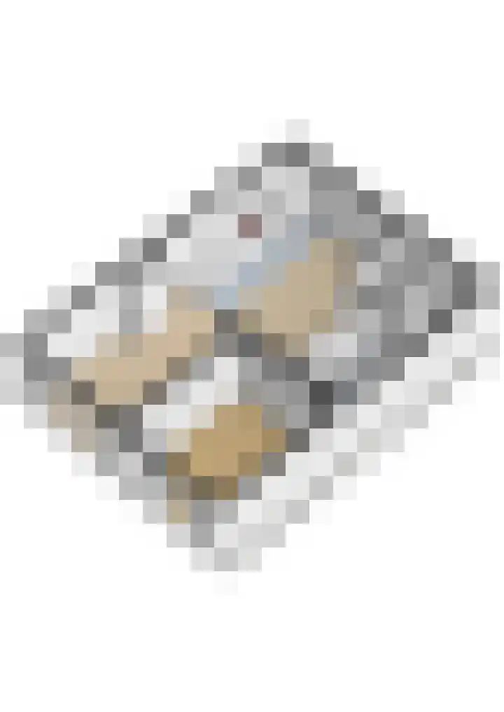 Deijffelbroekselaan 50 Pernis Rotterdam thumbnail 23