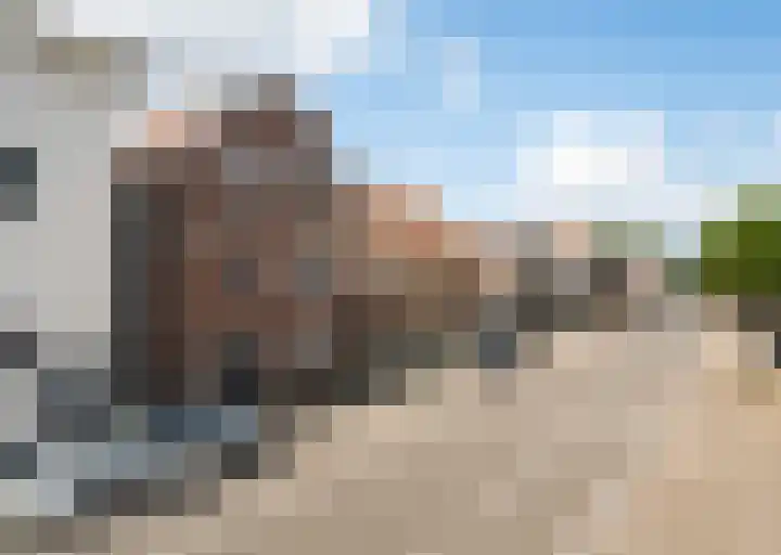 Deijffelbroekselaan 50 Pernis Rotterdam thumbnail 8