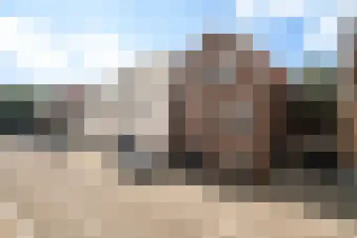 Deijffelbroekselaan 50 Pernis Rotterdam thumbnail 9
