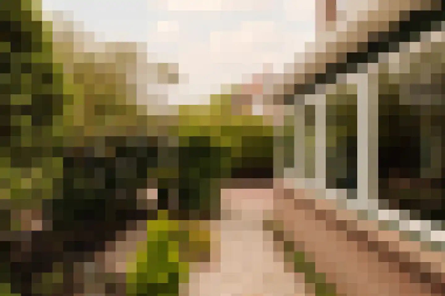 Deijlerweg 129 Wassenaar thumbnail 39