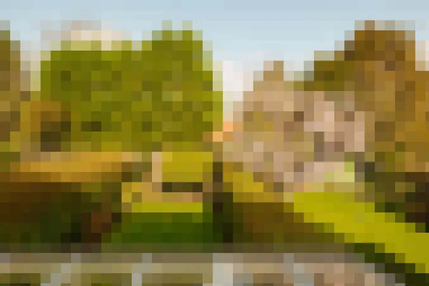 Deijlerweg 67 Wassenaar thumbnail 27
