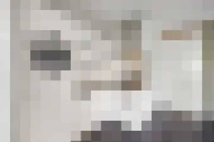 Deijliuslaan 5 Barneveld thumbnail 10