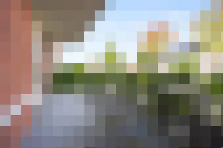 Deijliuslaan 5 Barneveld thumbnail 20
