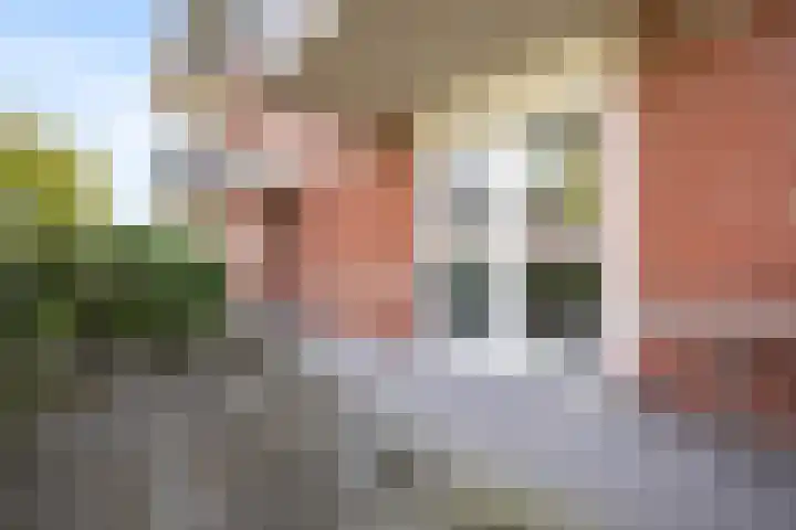 Deijliuslaan 5 Barneveld thumbnail 21