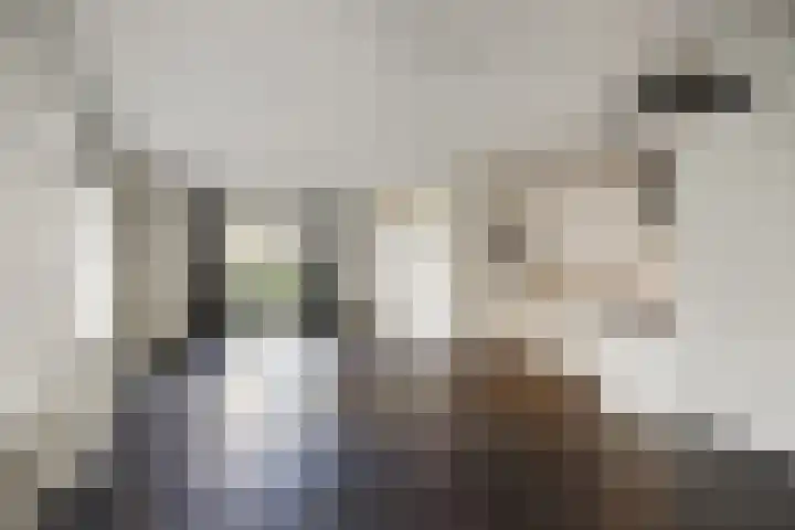 Deijliuslaan 5 Barneveld thumbnail 6