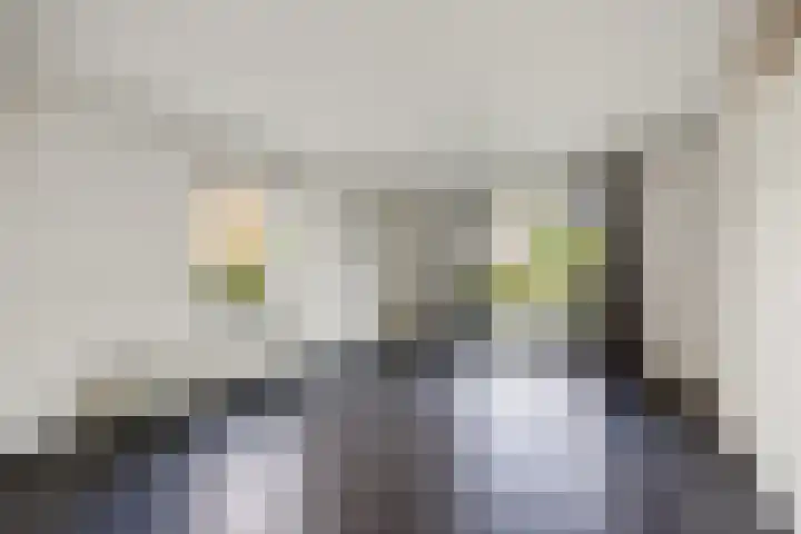 Deijliuslaan 5 Barneveld thumbnail 7