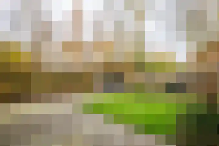 Deilhorst 10 Doetinchem thumbnail 11