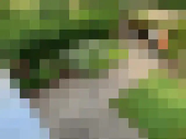 Deilhorst 10 Doetinchem thumbnail 13