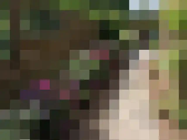 Deilhorst 10 Doetinchem thumbnail 14