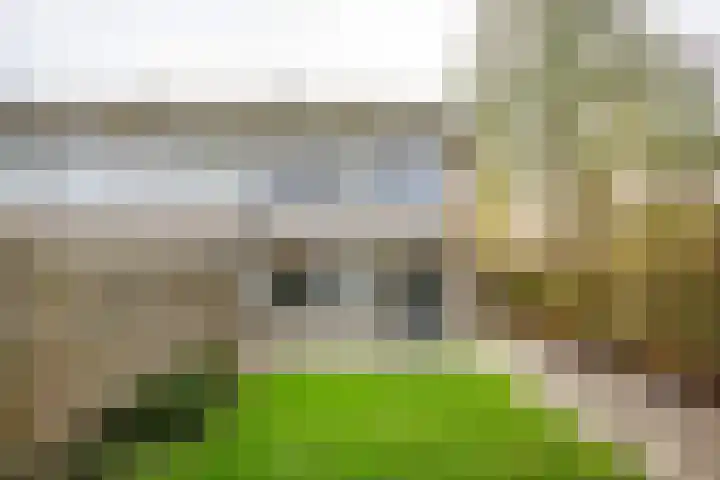Deilhorst 10 Doetinchem thumbnail 16