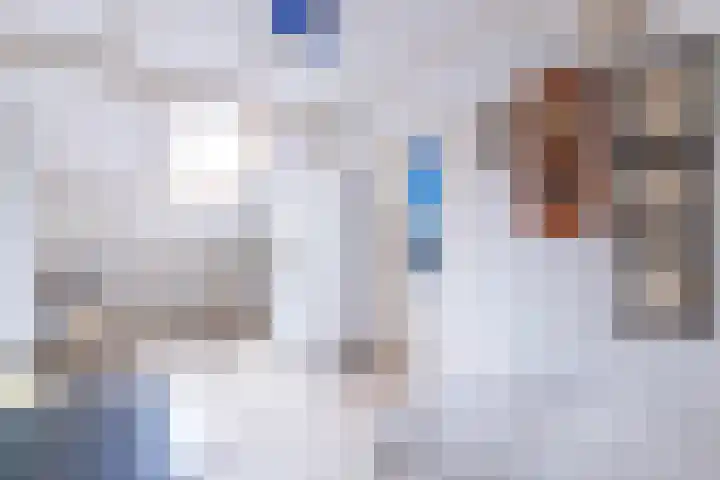 Deilhorst 10 Doetinchem thumbnail 35