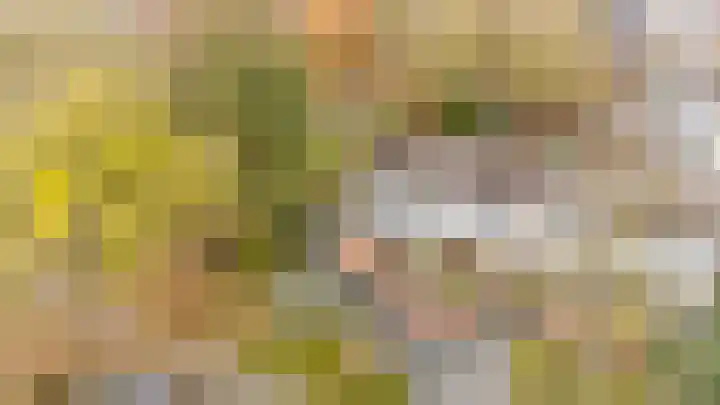 Deilhorst 10 Doetinchem thumbnail 37