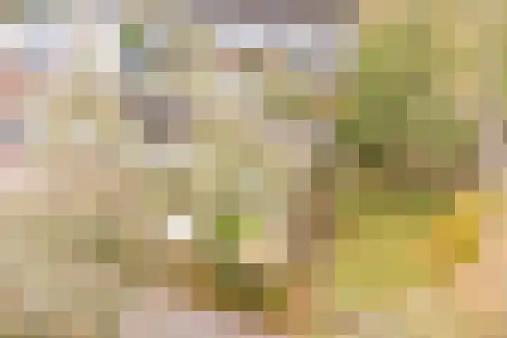 Deilhorst 10 Doetinchem thumbnail 39