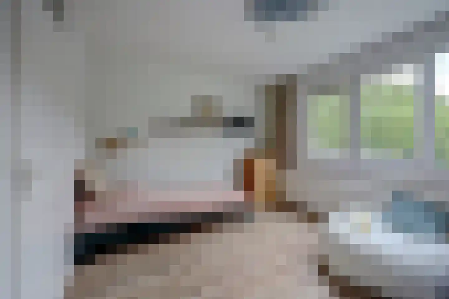 Deilhorst 52 Doetinchem thumbnail 25