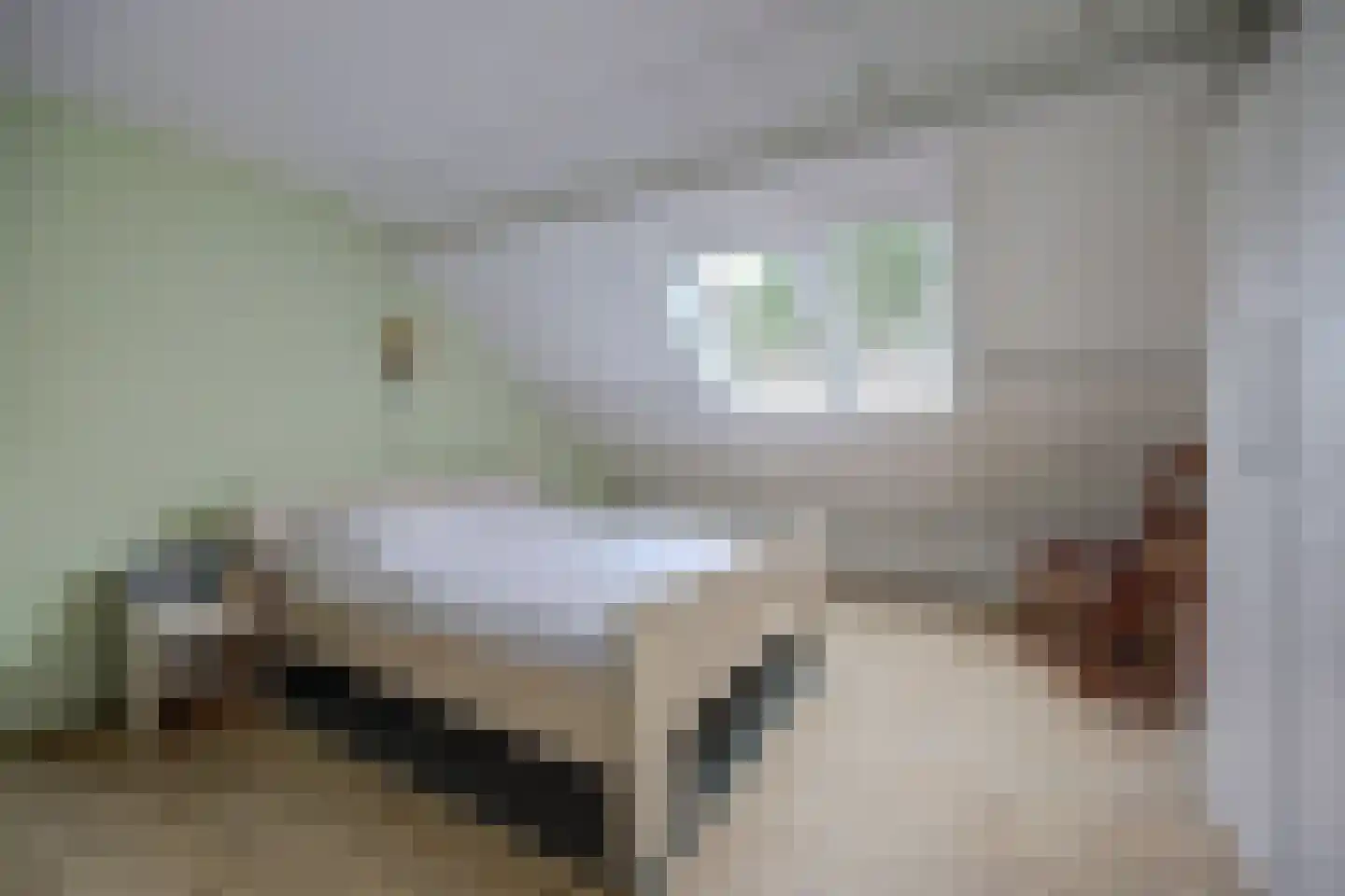 Deilhorst 52 Doetinchem thumbnail 36