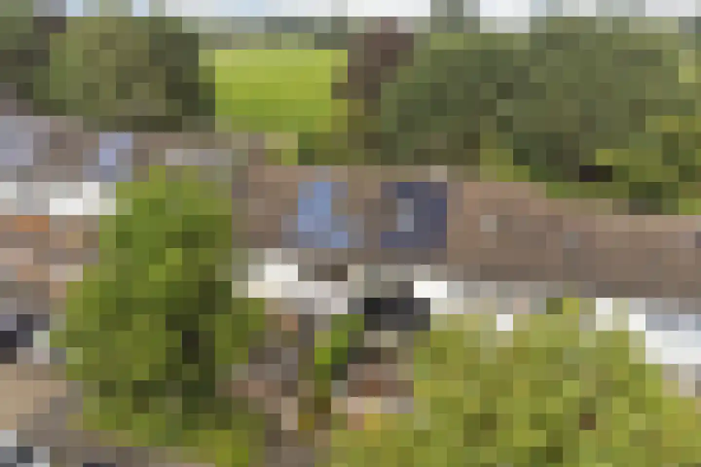 Deilhorst 52 Doetinchem thumbnail 48