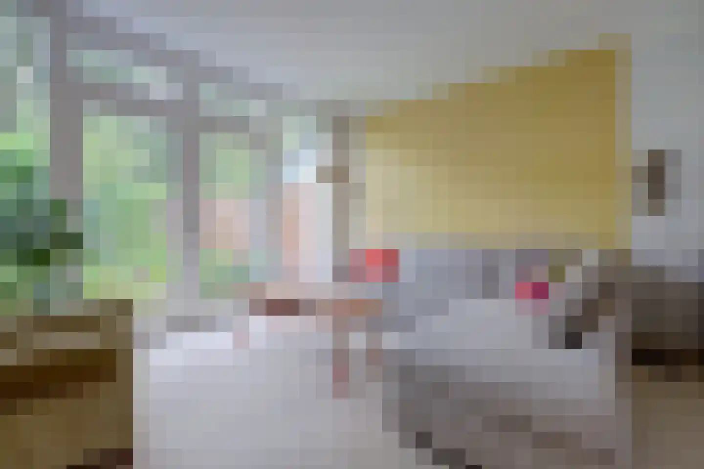Deilhorst 52 Doetinchem thumbnail 7