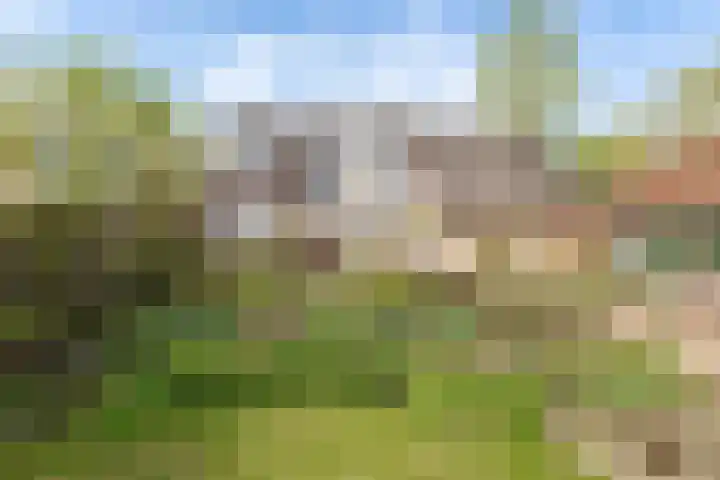 Deilsedijk 22 in Deil