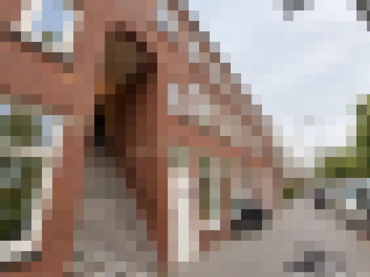 Deimanstraat 164 Den Haag thumbnail 6