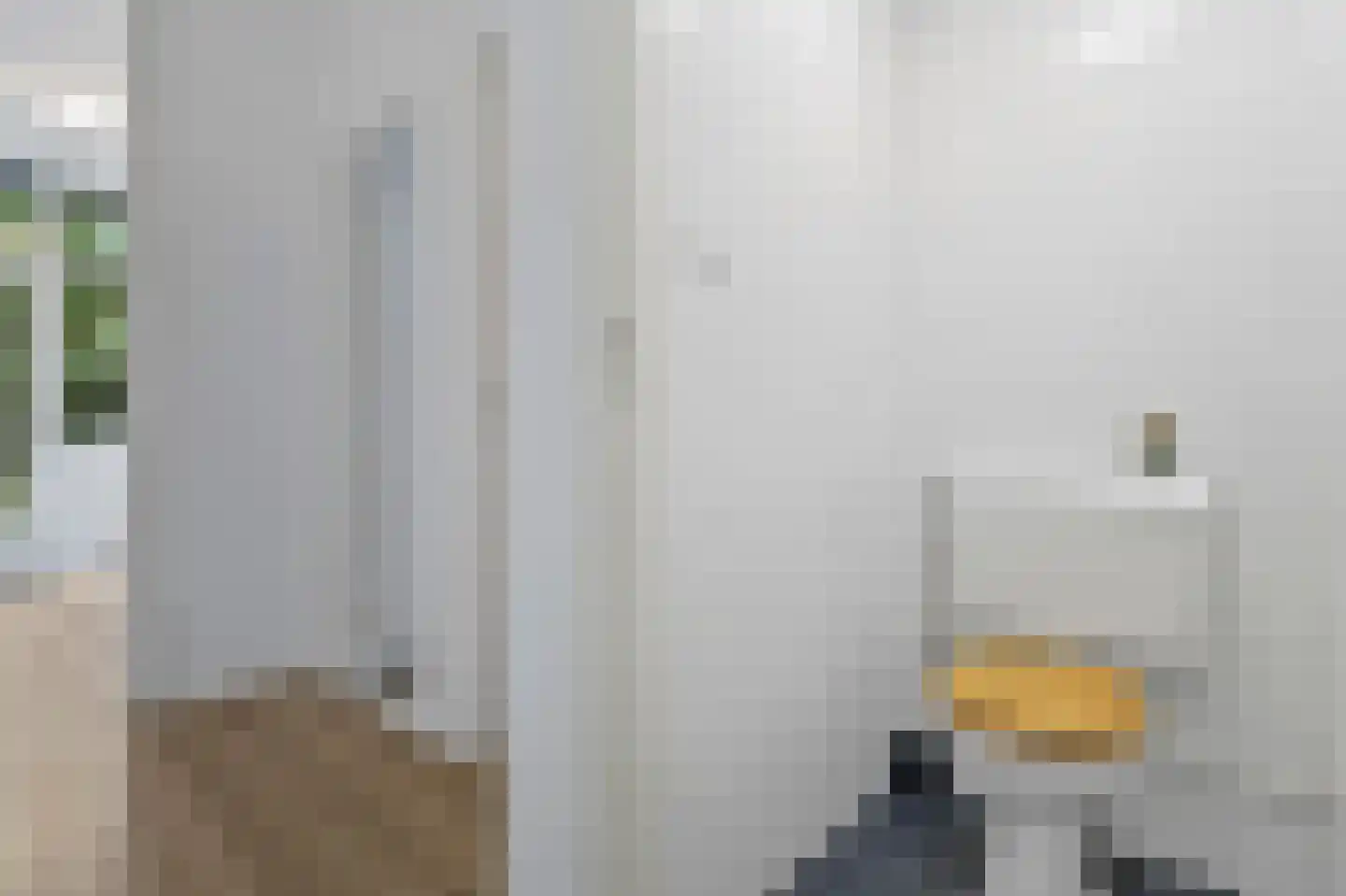 Deimanstraat 6 Den Haag thumbnail 10