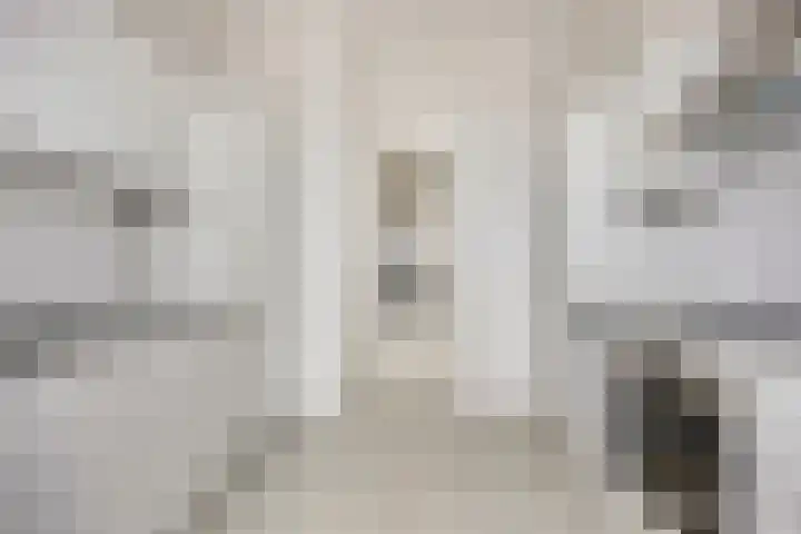 Deimanstraat 72 Den Haag thumbnail 8