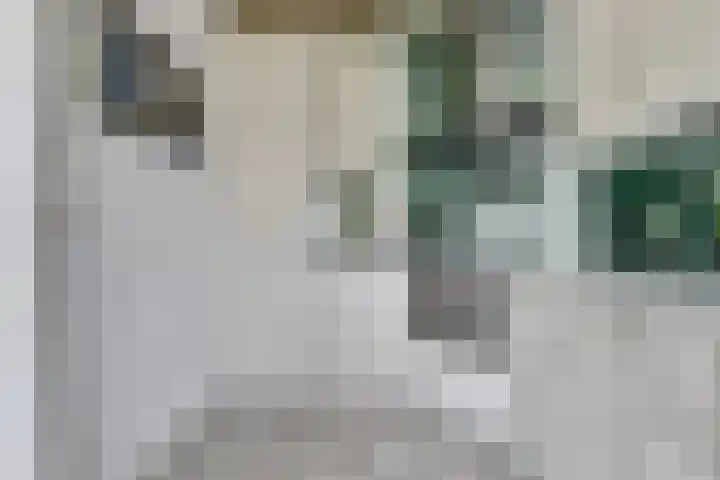 Deimospad 6 Spijkenisse thumbnail 10