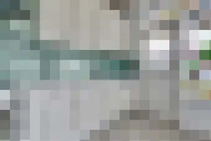 Deimospad 6 Spijkenisse thumbnail 11